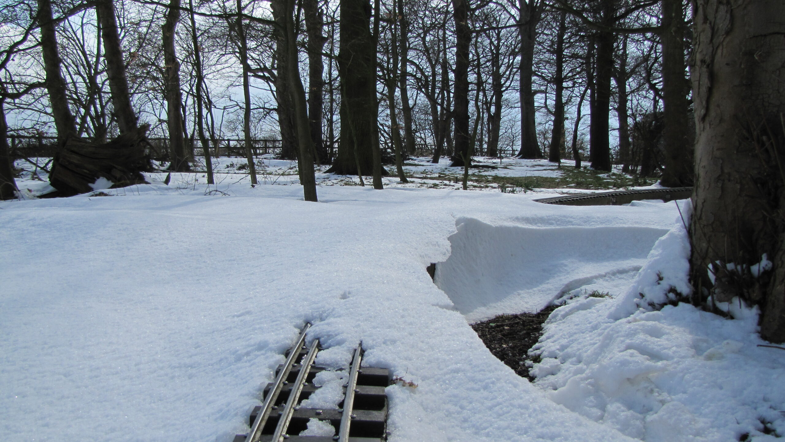 Track in the snow, March 2013