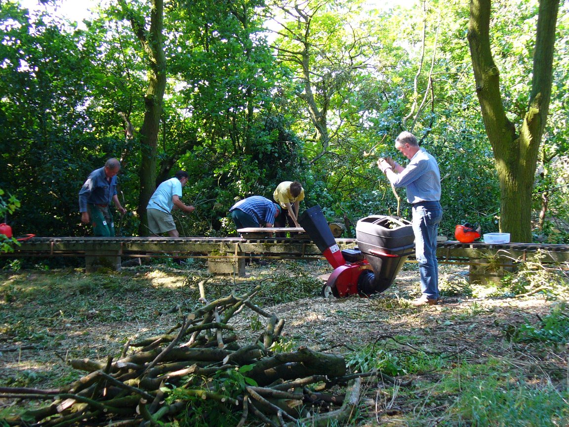 The Wednesday team doing some tree management